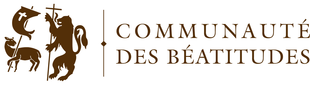 AdminLTE Logo